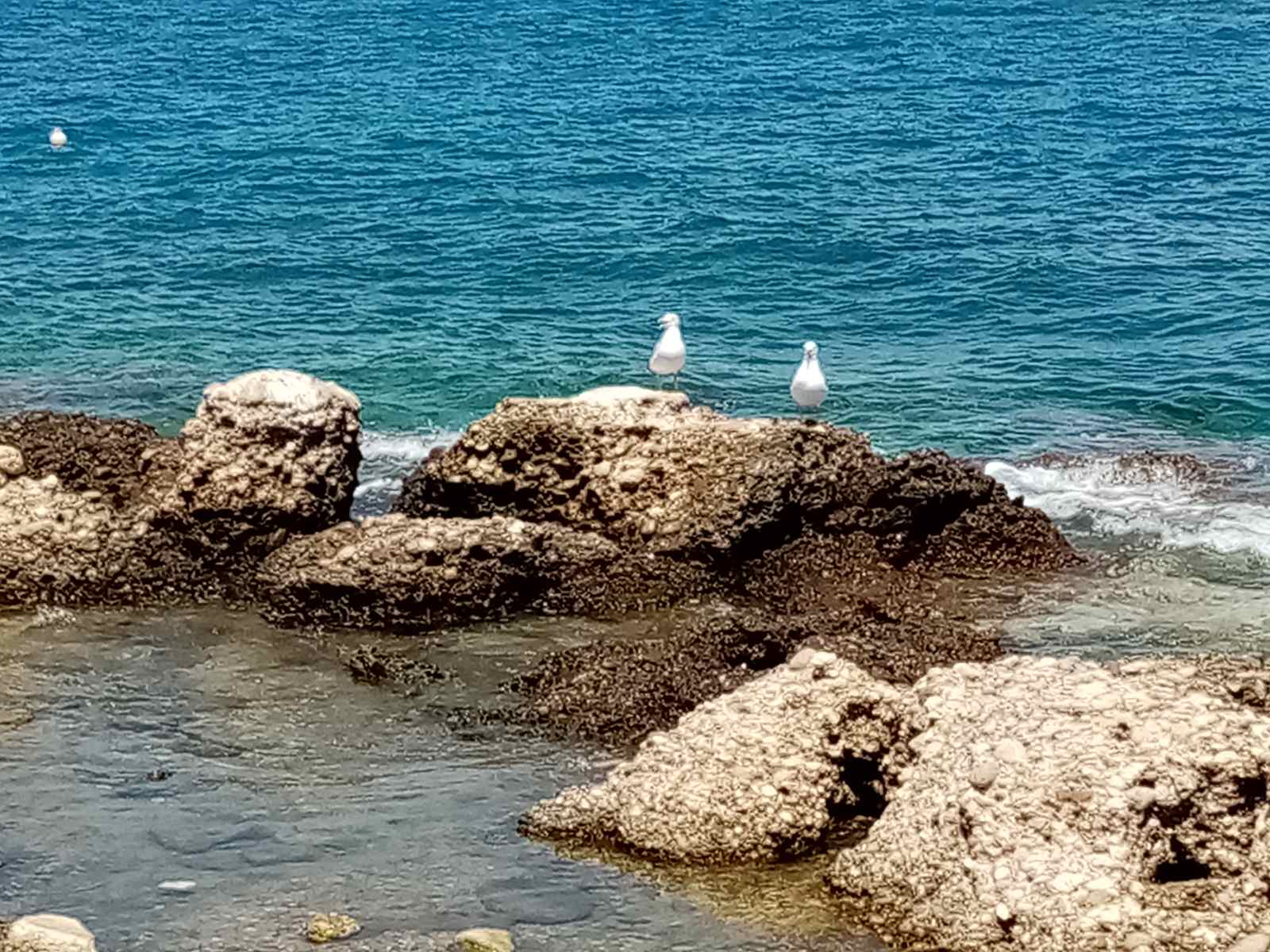 IMG-d9a3eb589c9a5d74e883035e2b34326f-V