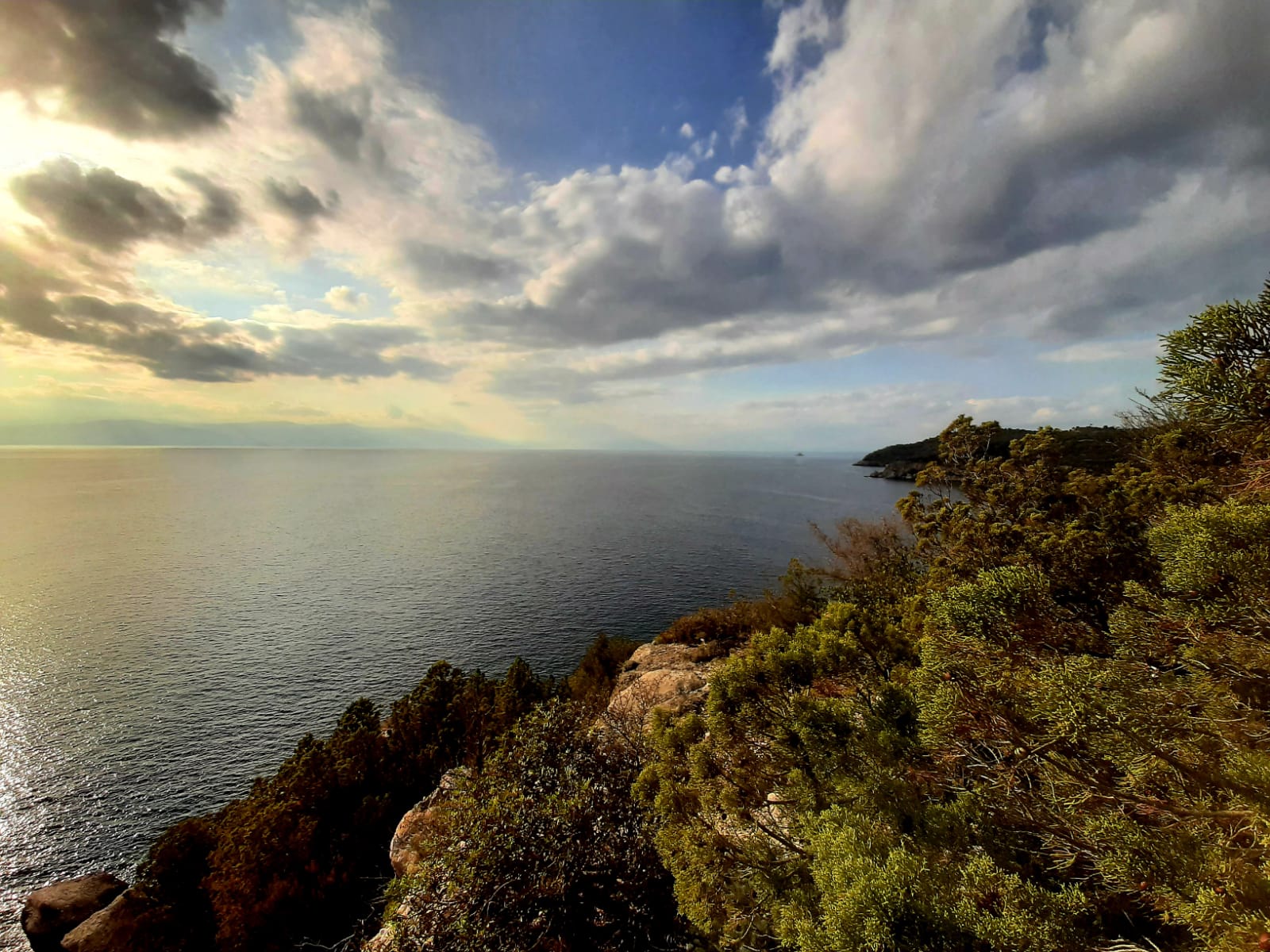 WhatsApp Image 2023-06-21 at 14.13.08